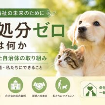 殺処分ゼロとは何か？達成した自治体の取り組みと日本の動物福祉の現実