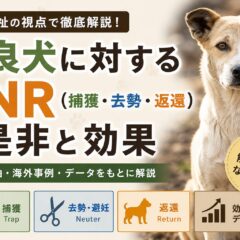 野良犬のTNR（捕獲・去勢・返還）は効果があるの？賛否両論を徹底解説