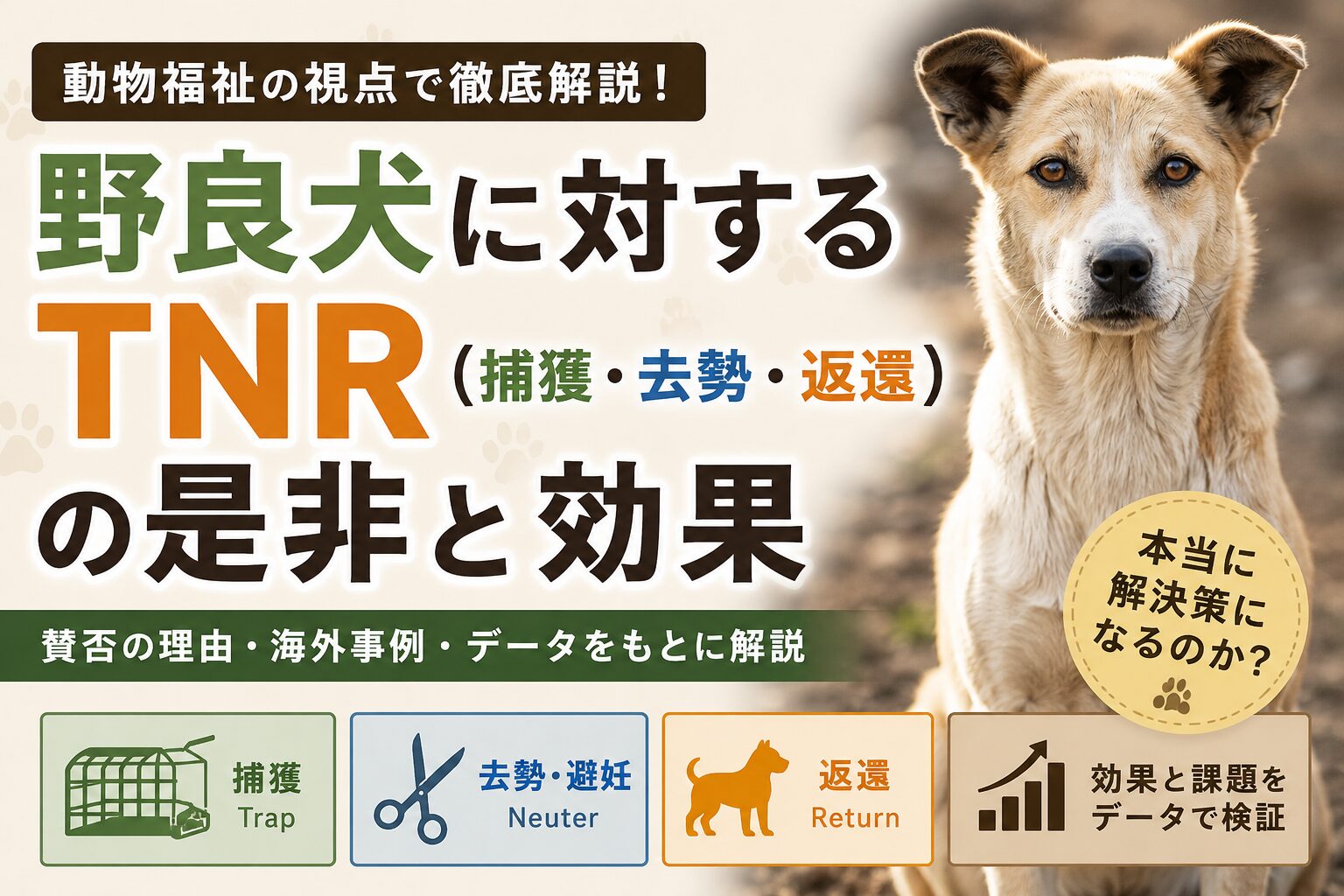 野良犬のTNR（捕獲・去勢・返還）は効果がある