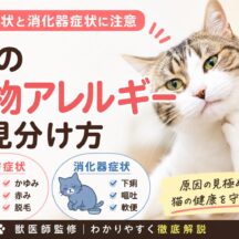 猫の食物アレルギーの見分け方｜皮膚症状と消化器症状に注意