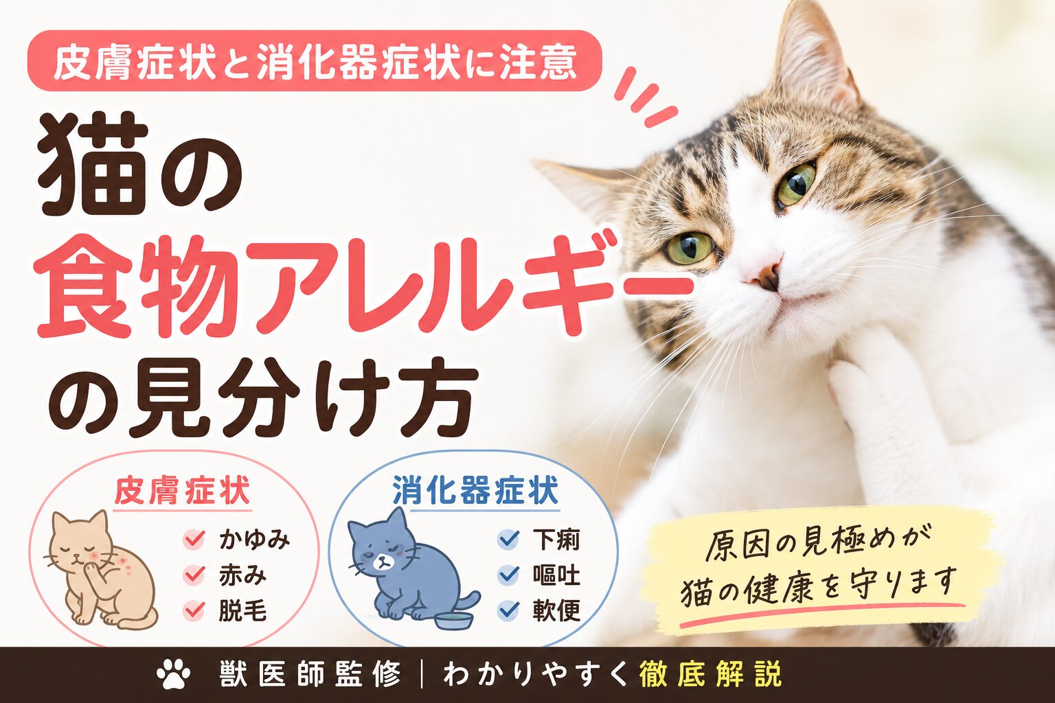 猫の食物アレルギーの見分け方