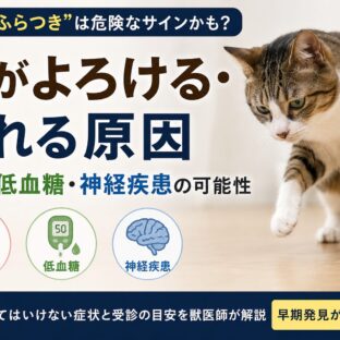 猫がよろける・倒れる原因｜貧血・低血糖・神経疾患の可能性と今すぐすべき対処法