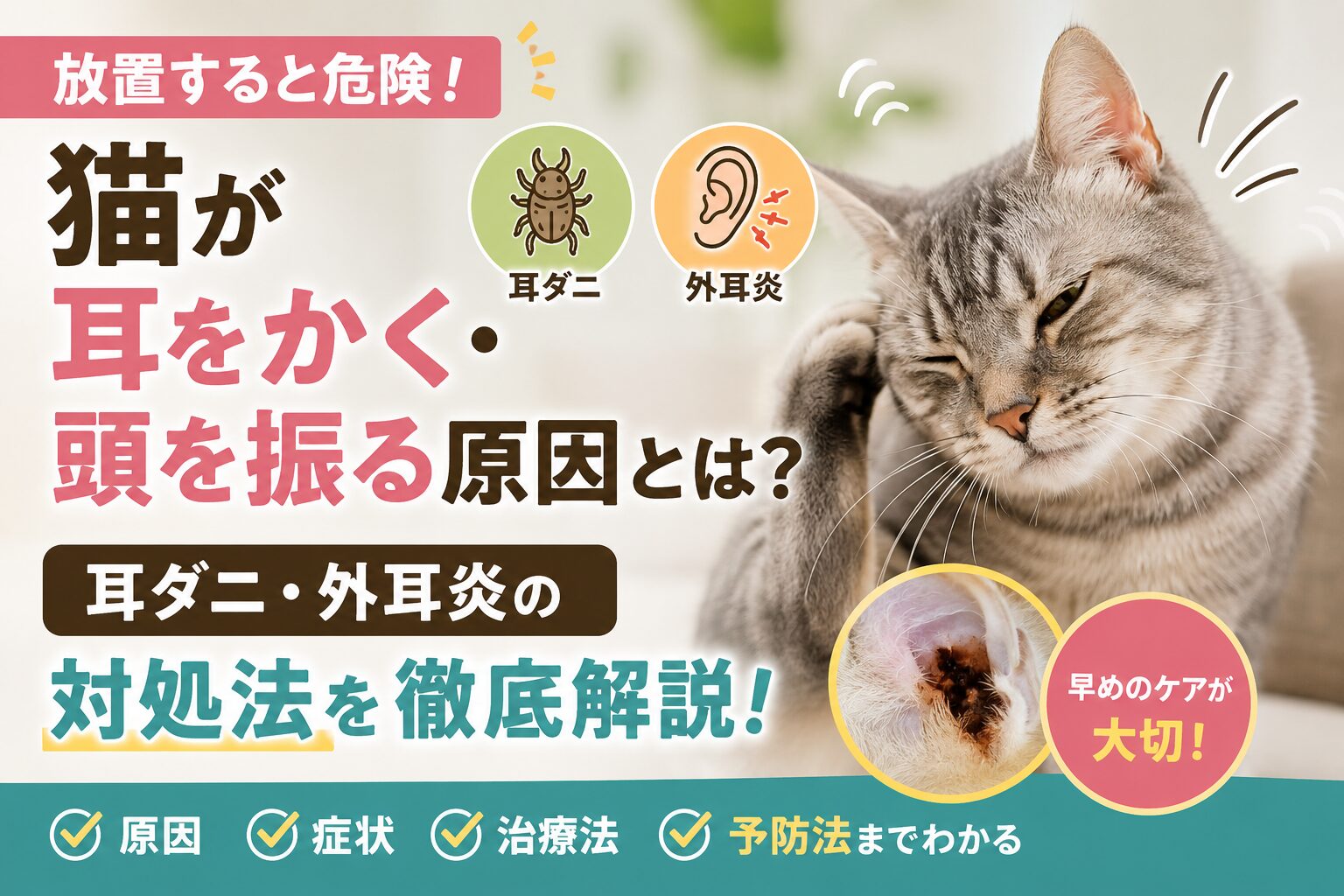 猫が耳をかく・頭を振る原因と耳ダニ・外耳炎の対処法