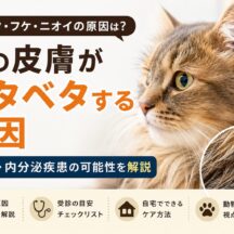 猫の皮膚がベタベタする原因とは？脂漏症・内分泌疾患を獣医師視点で徹底解説