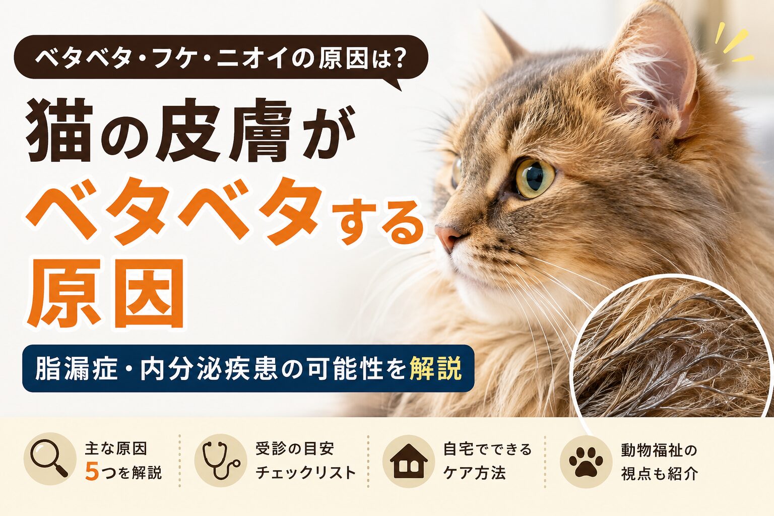 猫の皮膚がベタベタする原因とは