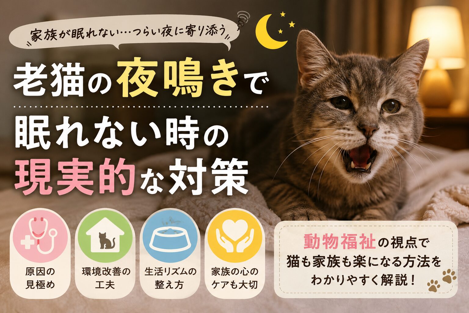 老猫の夜鳴きで眠れない夜が続く時