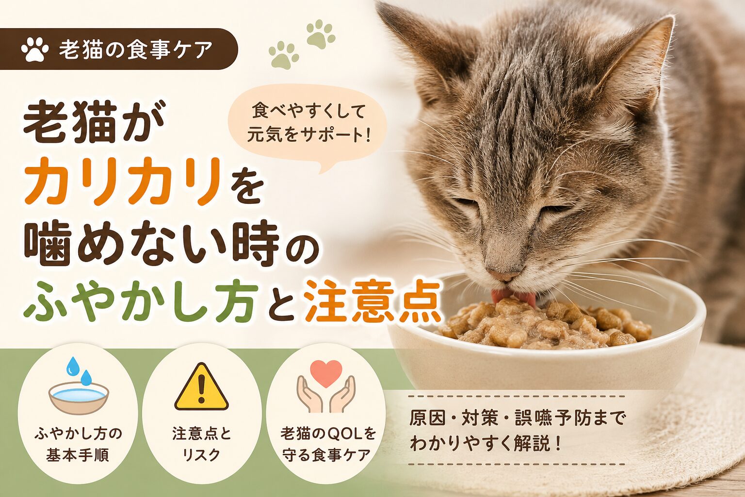老猫がカリカリを噛めない時のふやかし方と注意点