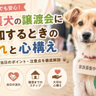 保護犬の譲渡会に参加するときの流れと心構え｜失敗しないための完全ガイド