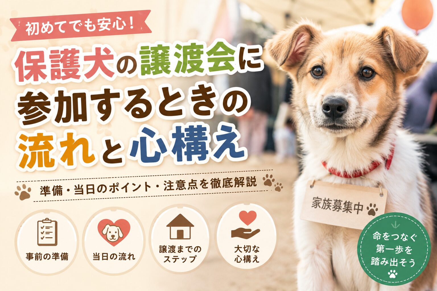 保護犬の譲渡会に参加するときの流れと心構え