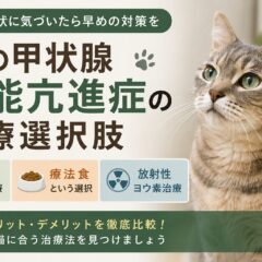 猫の甲状腺機能亢進症の治療選択肢｜薬・療法食・放射性ヨウ素を徹底比較
