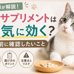 猫のサプリメントは病気に効く？使う前に確認したいこと