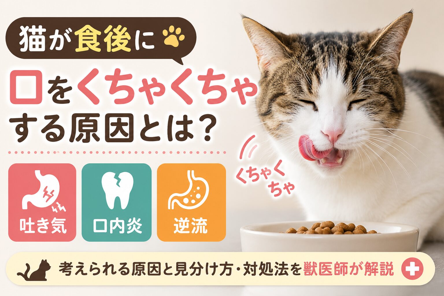猫が食後に口をくちゃくちゃする原因