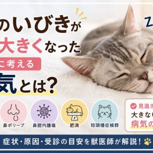 猫のいびきが急に大きくなった…それは病気のサインかもしれません【獣医師監修レベルの解説】