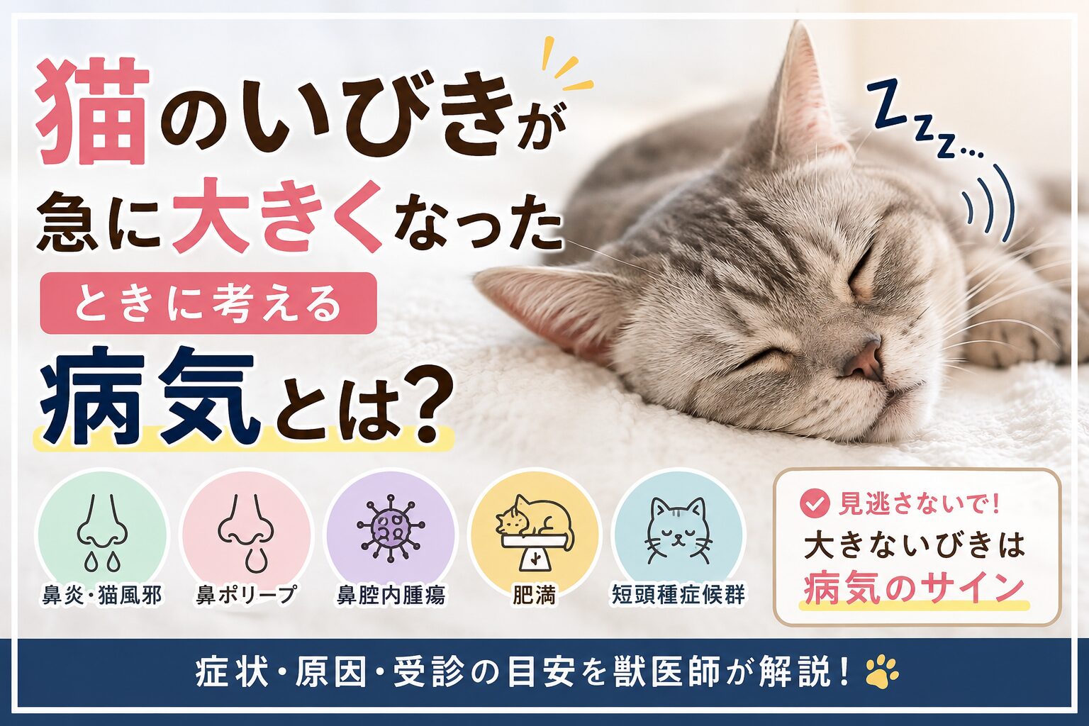 猫のいびきが急に大きくなった