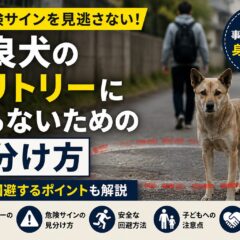 野良犬のテリトリーに入らないための見分け方｜専門家が教える安全行動ガイド