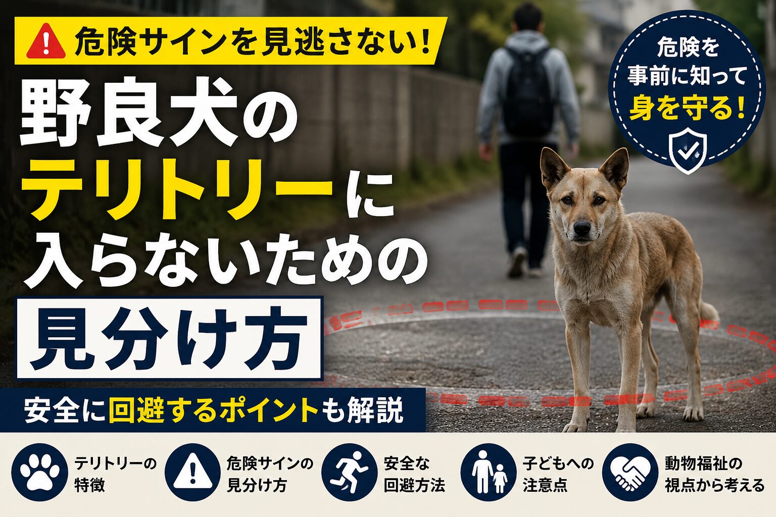 野良犬のテリトリーに入らないための見分け方