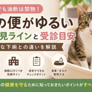 猫の便がゆるいが元気なとき｜様子見ラインと動物病院に行くべき受診目安を徹底解説