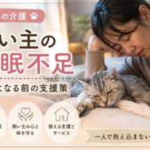 老猫の介護と飼い主の睡眠不足｜限界になる前に知っておきたい支援策