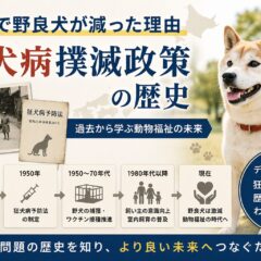 日本で野良犬が減った理由とは？狂犬病撲滅政策の歴史と動物福祉の現在地