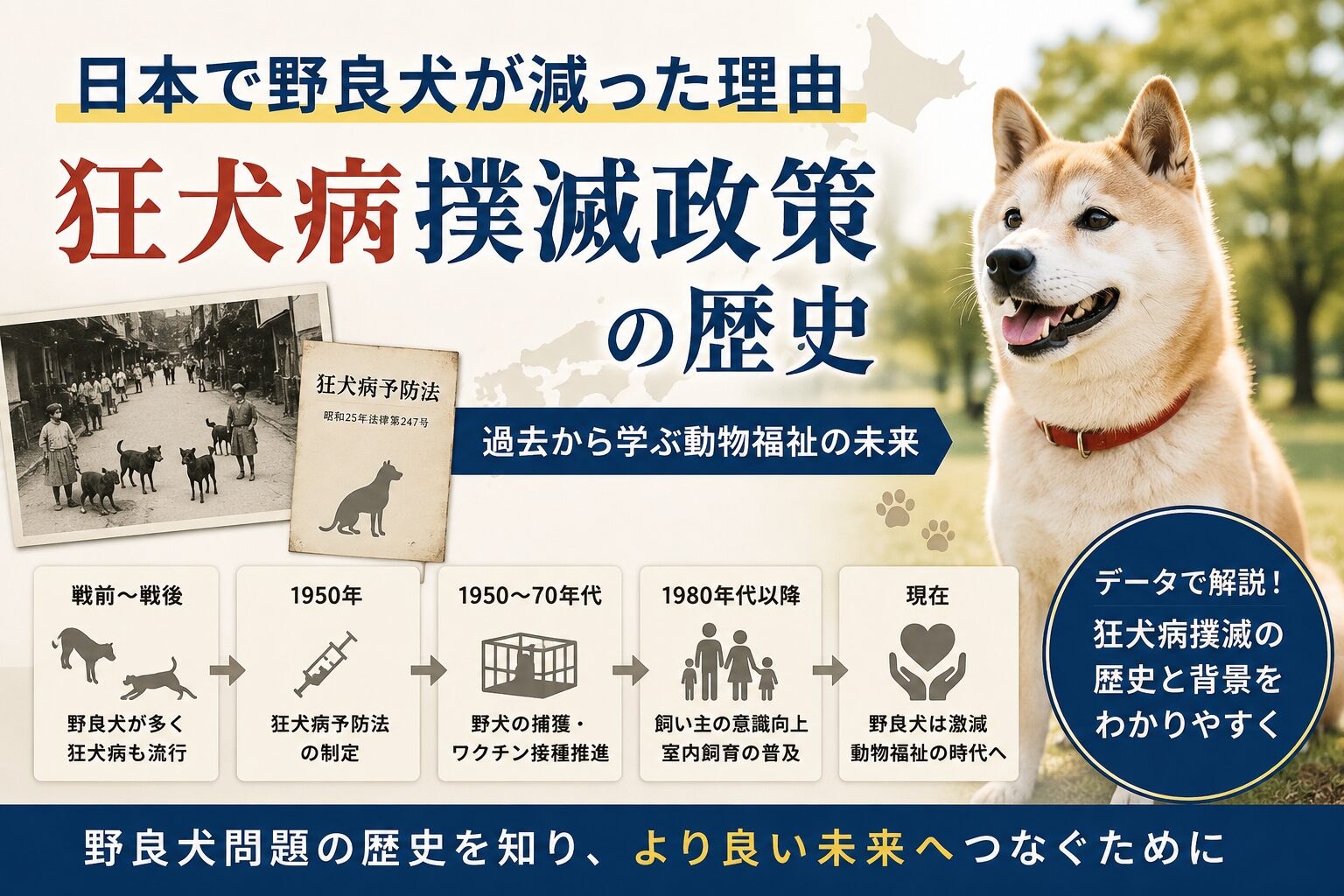 日本で野良犬が減った理由とは