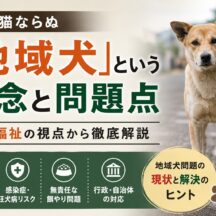 地域犬とは何か？地域猫との違い・問題点・日本における現状を徹底解説