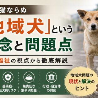 地域犬とは何か？地域猫との違い・問題点・日本における現状を徹底解説