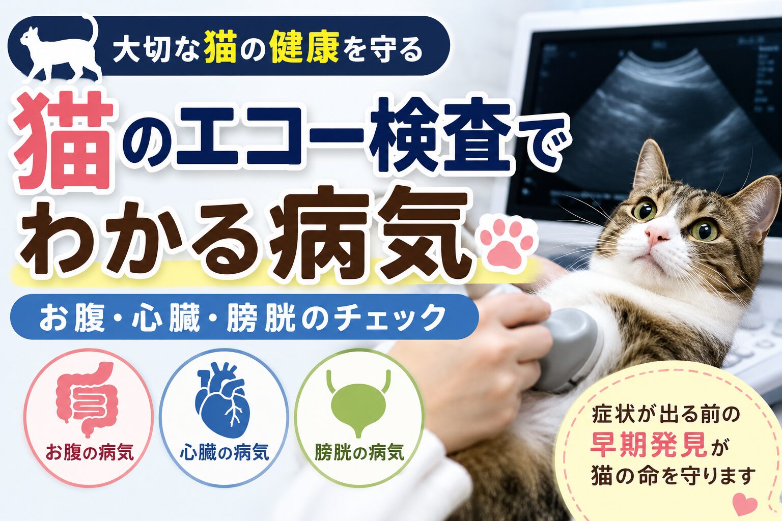 猫のエコー検査でわかる病気