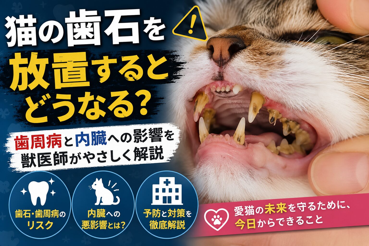 猫の歯石を放置するとどうなる