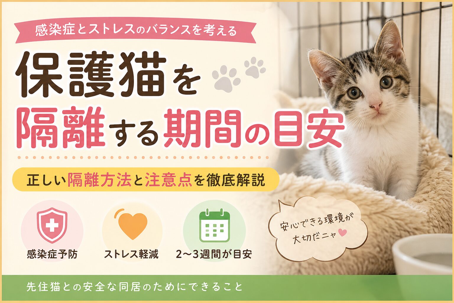 保護猫を隔離する期間の目安