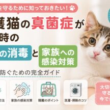 保護猫の真菌症が出た時の部屋の消毒と家族への感染対策｜正しい手順と予防法を徹底解説