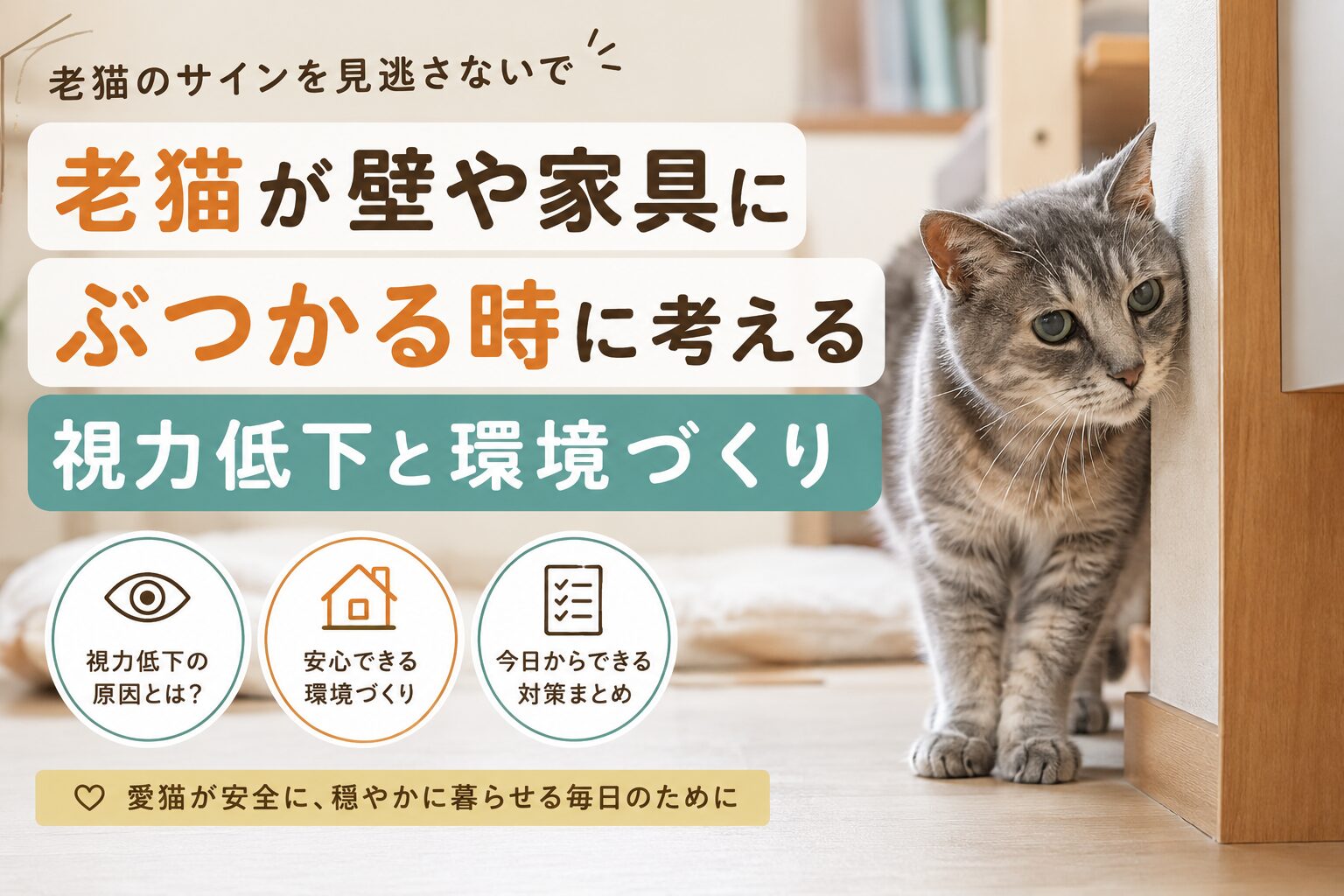 老猫が壁や家具にぶつかる時に考える視力低下と環境づくり