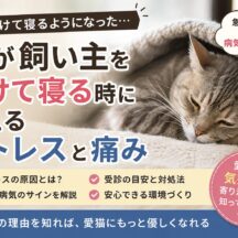猫が飼い主を避けて寝る時に考えるストレスと痛み｜行動の変化を見逃さないために