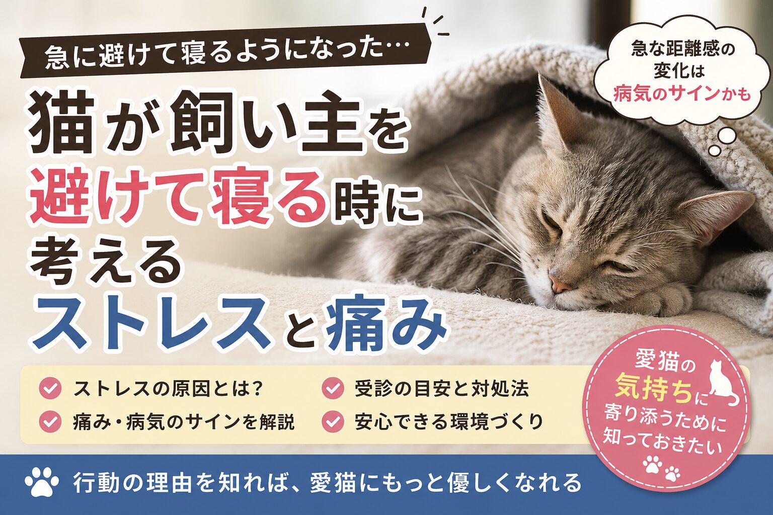 猫が飼い主を避けて寝る時に考えるストレスと痛み