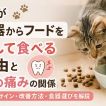 猫が食器からフードを出して食べる理由｜口の痛みとの関係を獣医師監修で解説
