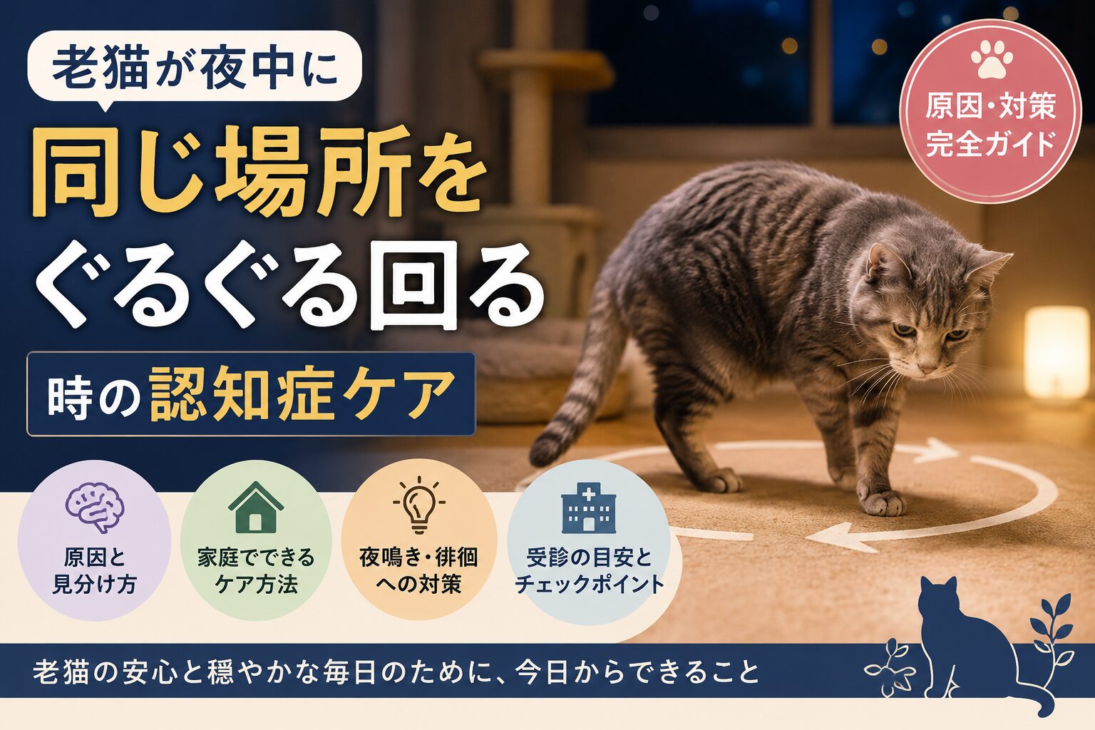 老猫が夜中にぐるぐる回る原因と認知症ケア