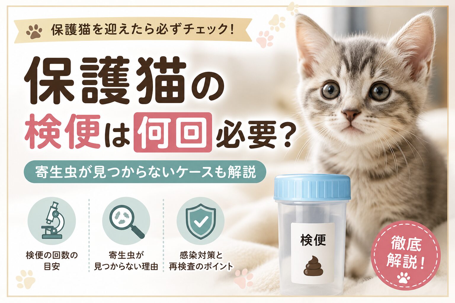 保護猫の検便は何回必要?
