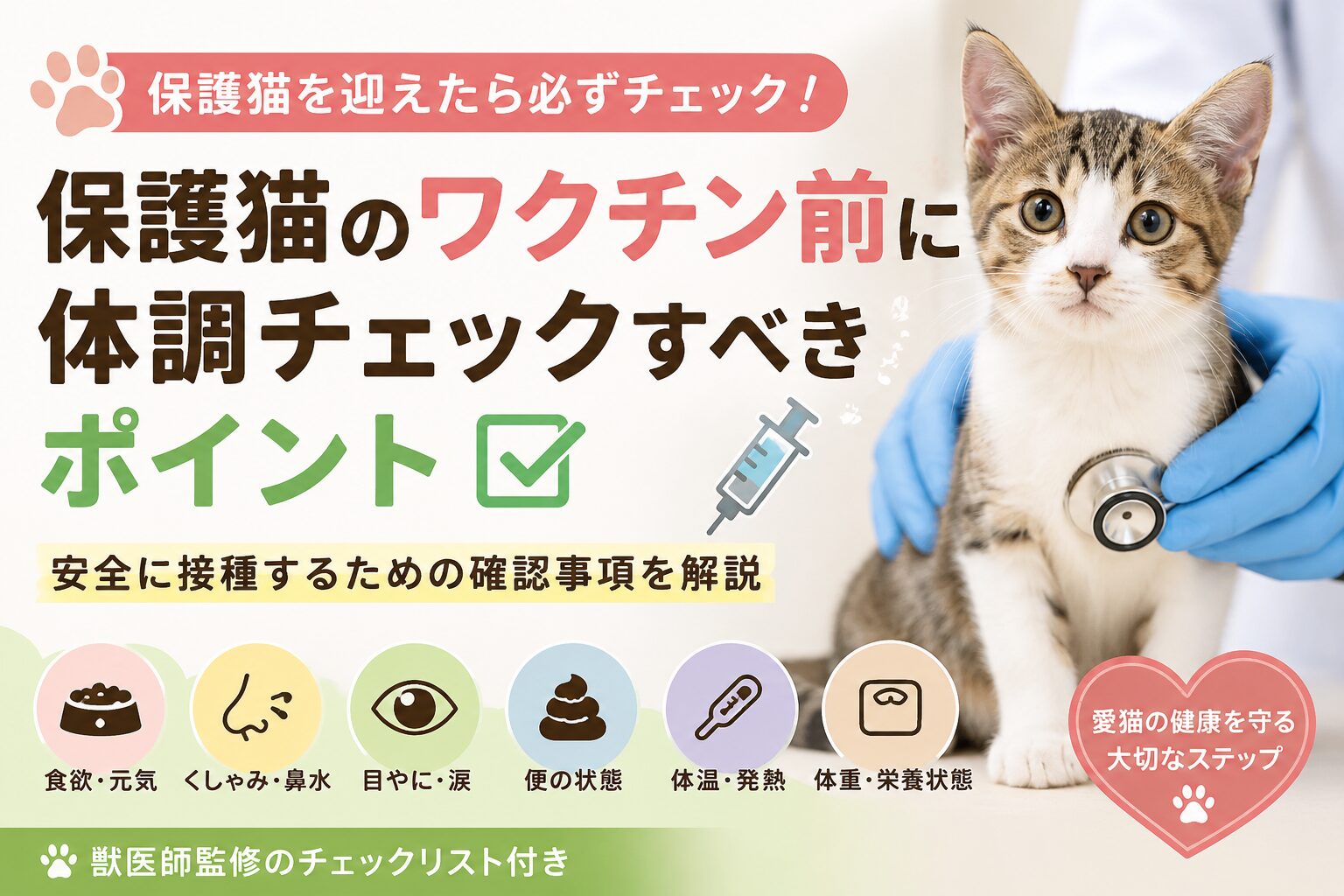 保護猫のワクチン前に体調チェックすべきポイント