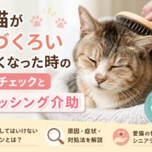 老猫が毛づくろいしなくなった…それはSOSサイン？体調チェックとブラッシング介助の完全ガイド