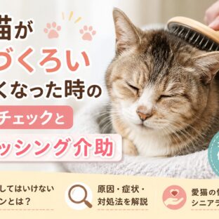 老猫が毛づくろいしなくなった…それはSOSサイン？体調チェックとブラッシング介助の完全ガイド
