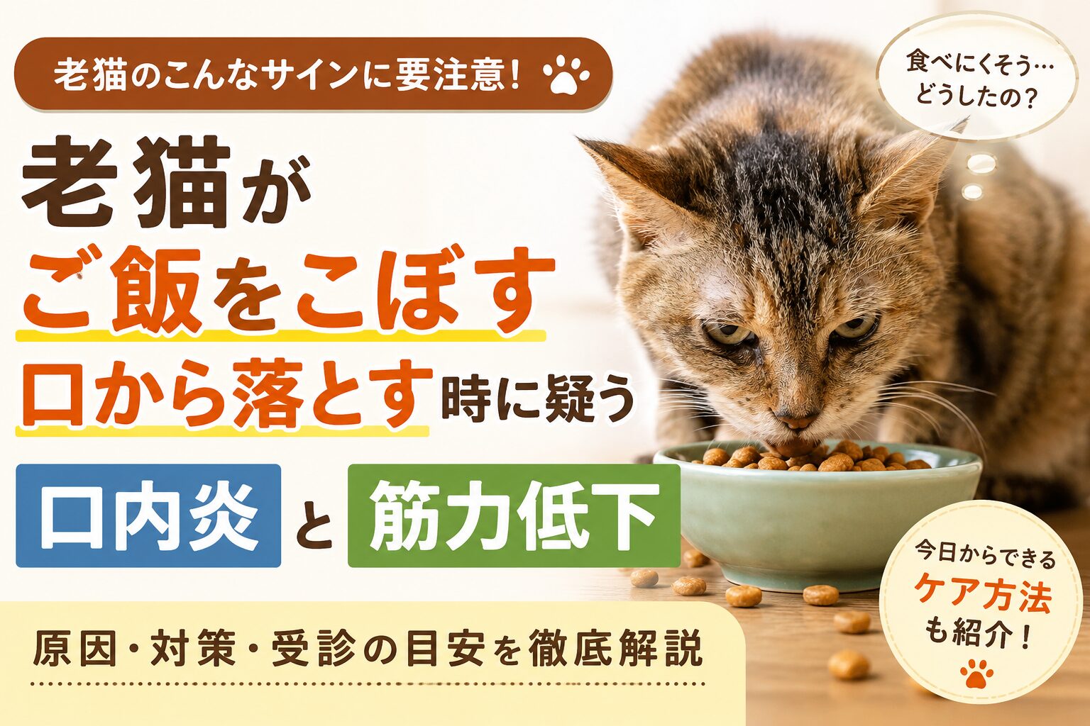 老猫がご飯をこぼす・口から落とす原因