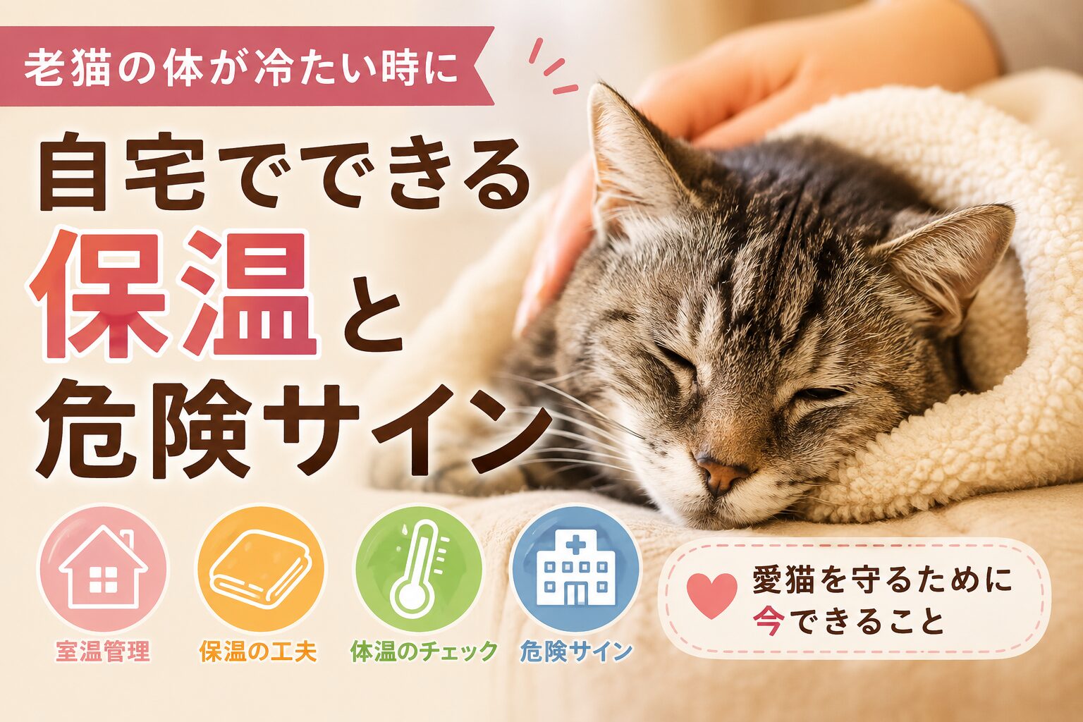 老猫の体が冷たい時