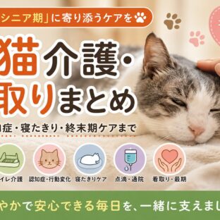 老猫介護・看取りまとめ｜食事・認知症・寝たきり・終末期ケアまで