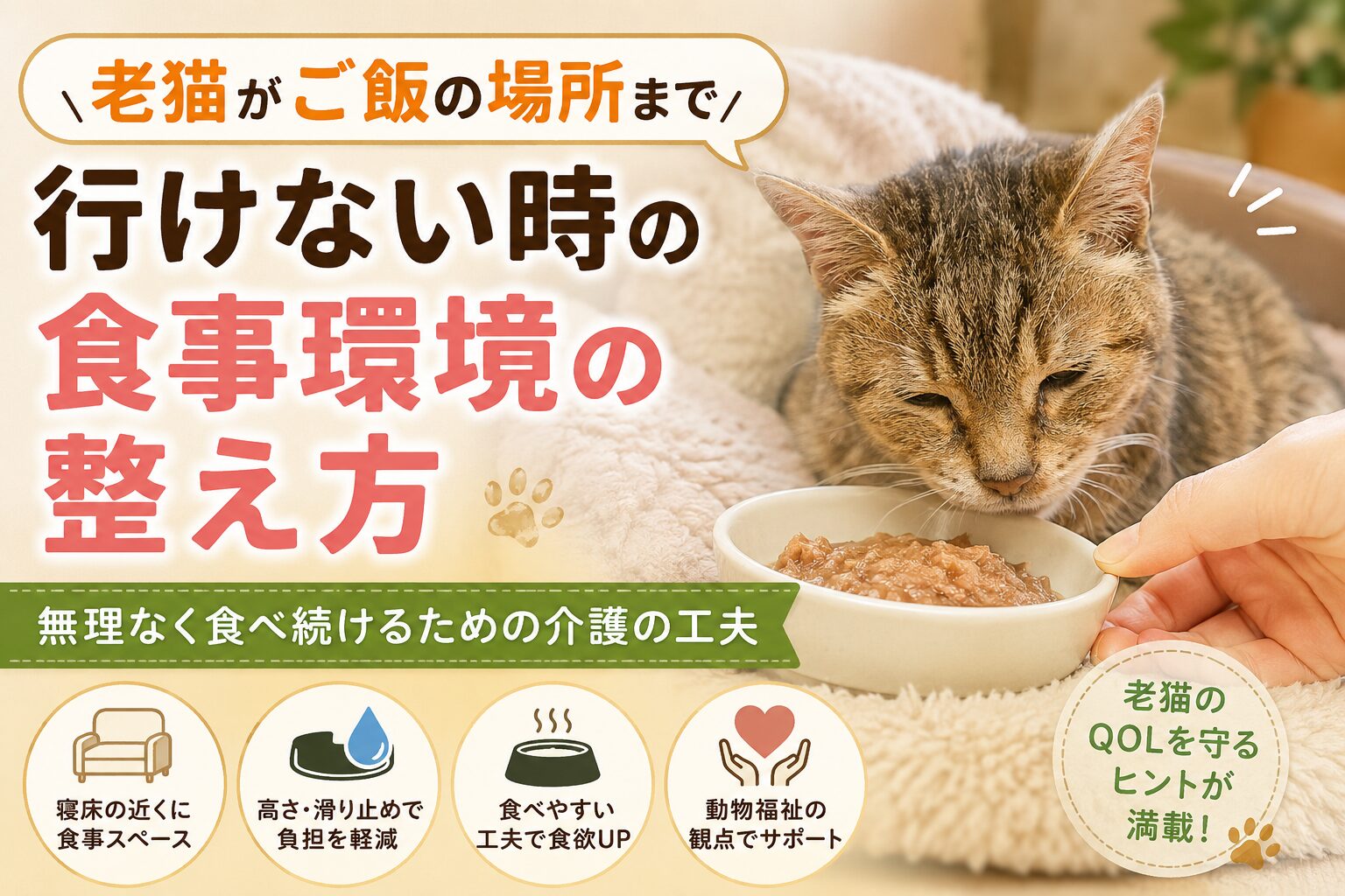 老猫がご飯の場所まで行けない