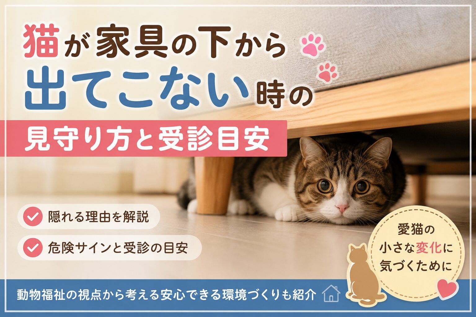 猫が家具の下から出てこない時の見守り方と受診目安