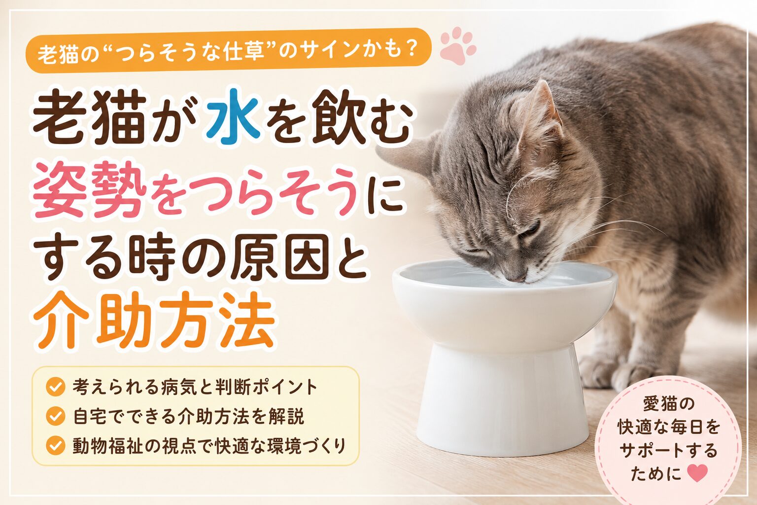 老猫が水を飲む姿勢をつらそうにする時の原因と介助方法