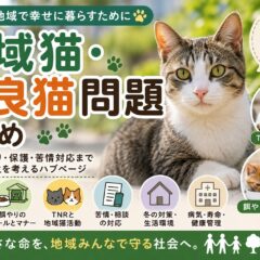猫の法律・動物福祉まとめ｜動物愛護法・通報・殺処分・保護活動まで