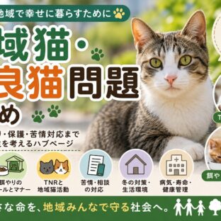 猫の法律・動物福祉まとめ｜動物愛護法・通報・殺処分・保護活動まで