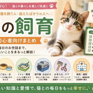 猫の飼育・初心者向けまとめ｜迎え方・ごはん・トイレ・留守番・お手入れまで