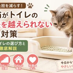 老猫がトイレの段差を越えられない時の対処法｜低いトイレの選び方と7つの工夫