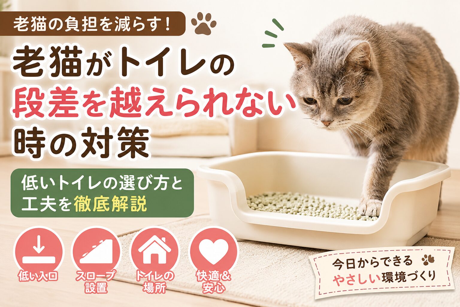 老猫がトイレの段差を越えられない時の対処法